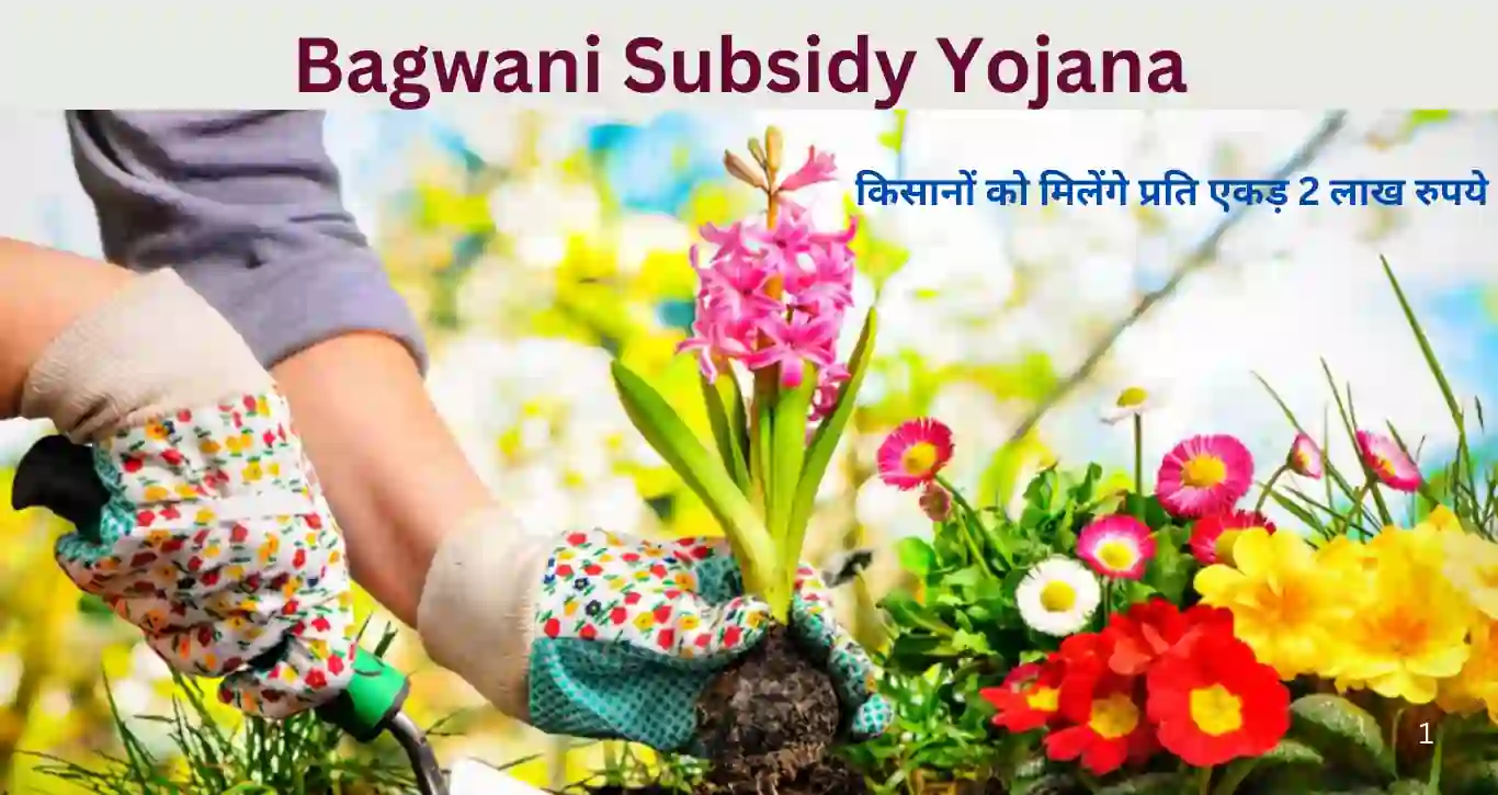 Bagwani Subsidy Yojana : किसानों को मिलेंगे प्रति एकड़ 2 लाख रुपये